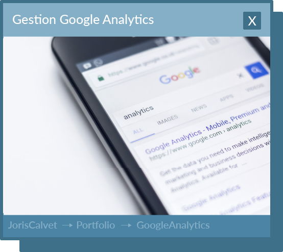 Quelqu'un à taper Analytics sur Google Search et google analytics apparait.